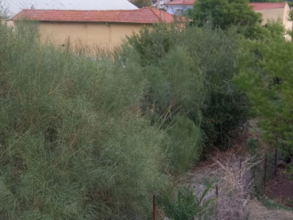 Helårsgrund i Vallecrosia, Imperia - foto 3