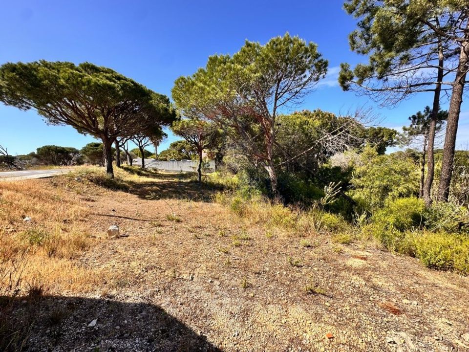 Helårsgrund i Almancil, Faro - foto 1