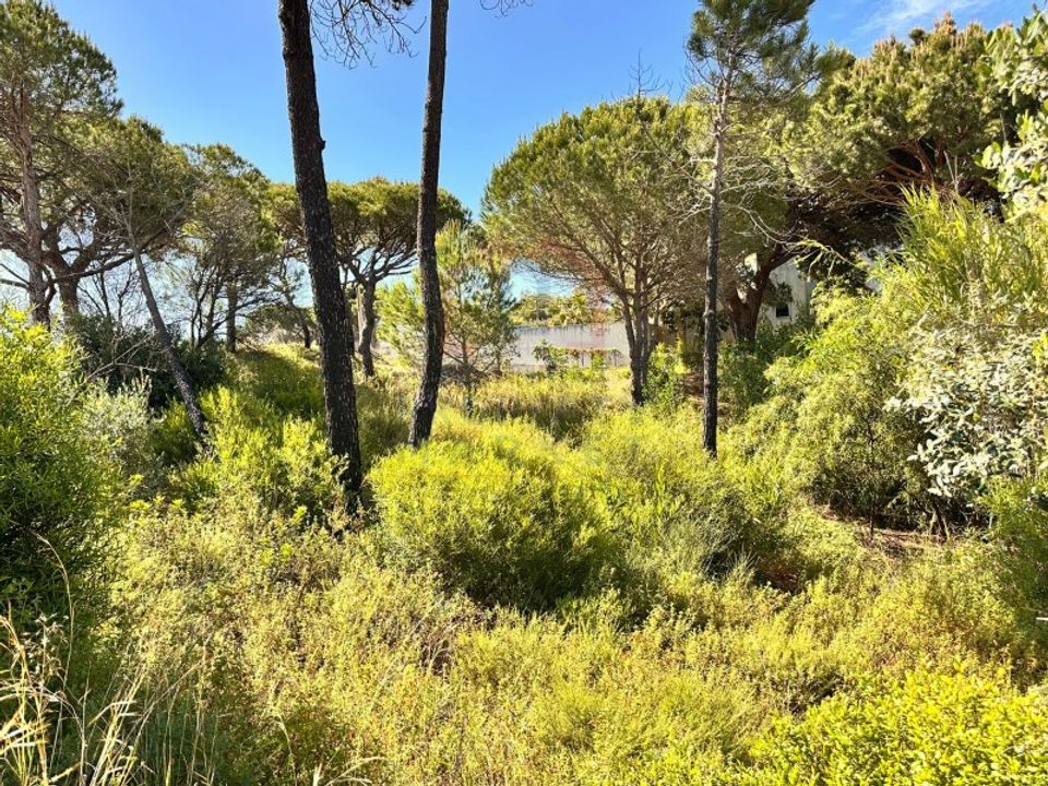 Helårsgrund i Almancil, Faro - foto 4
