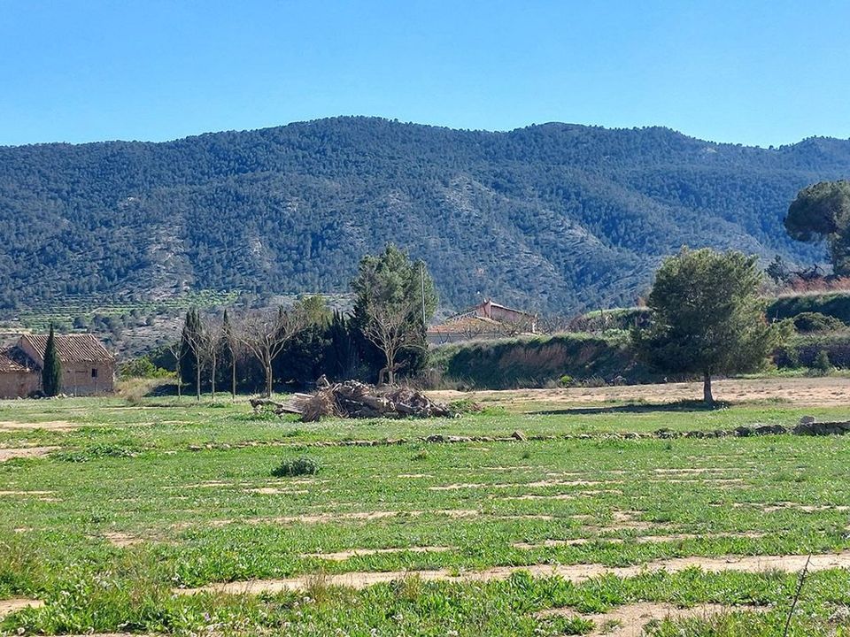Villa i Hondon De Las Nieves, Alicante - foto 2