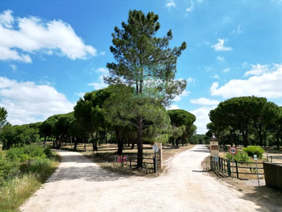 Helårsgrund i Santarem, Santarem - foto 5