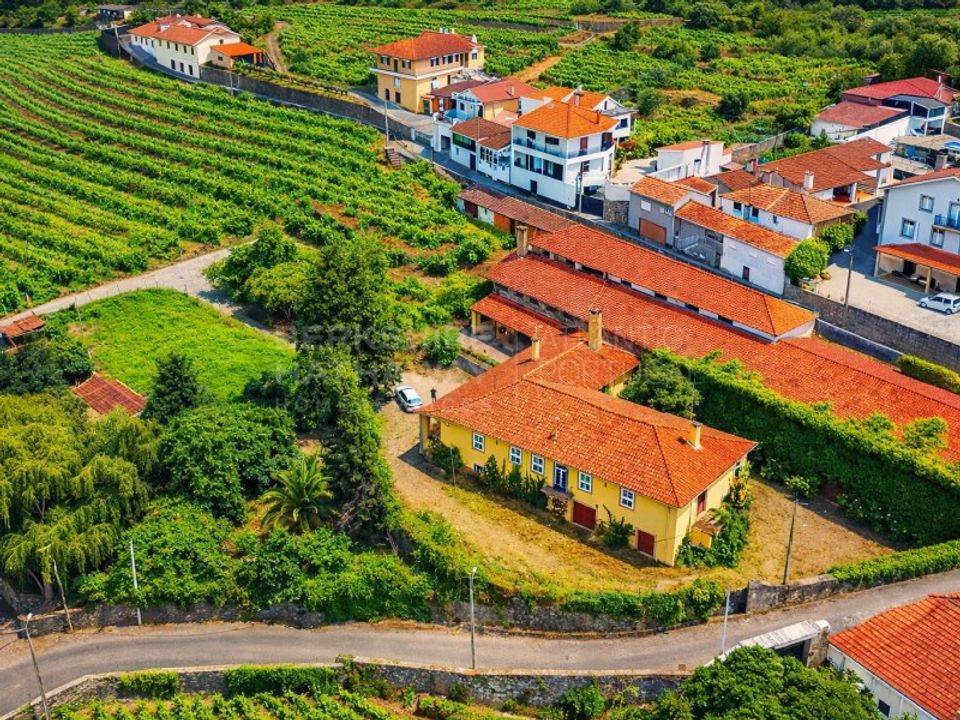 Farm i Cumieira, Vila Real - foto 1
