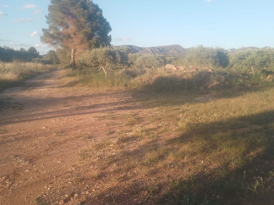 Villa i Ginestar, Gerona - foto 3