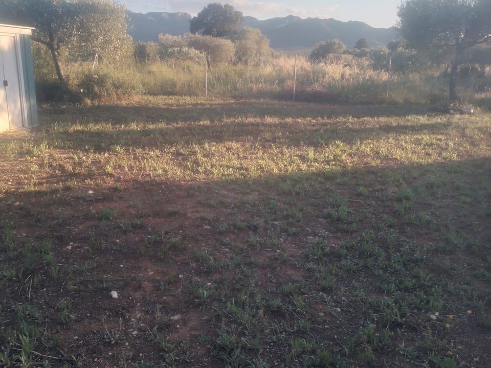Villa i Ginestar, Gerona - foto 2