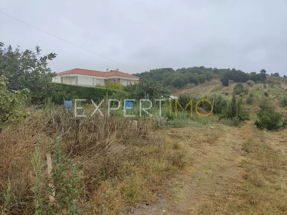 Helårsgrund i Bombarral, Leiria - foto 3