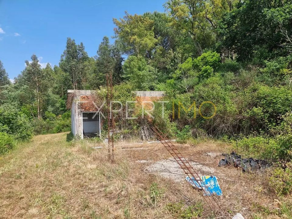Farm i Povoa de Midoes, Coimbra - foto 2