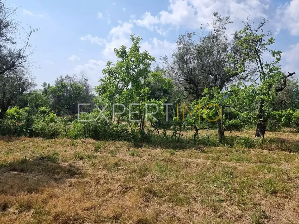 Farm i Povoa de Midoes, Coimbra - foto 3