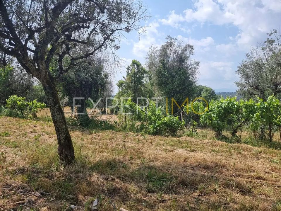 Farm i Povoa de Midoes, Coimbra - foto 4