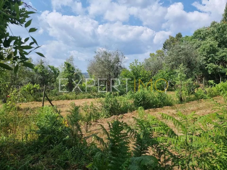 Farm i Povoa de Midoes, Coimbra - foto 5