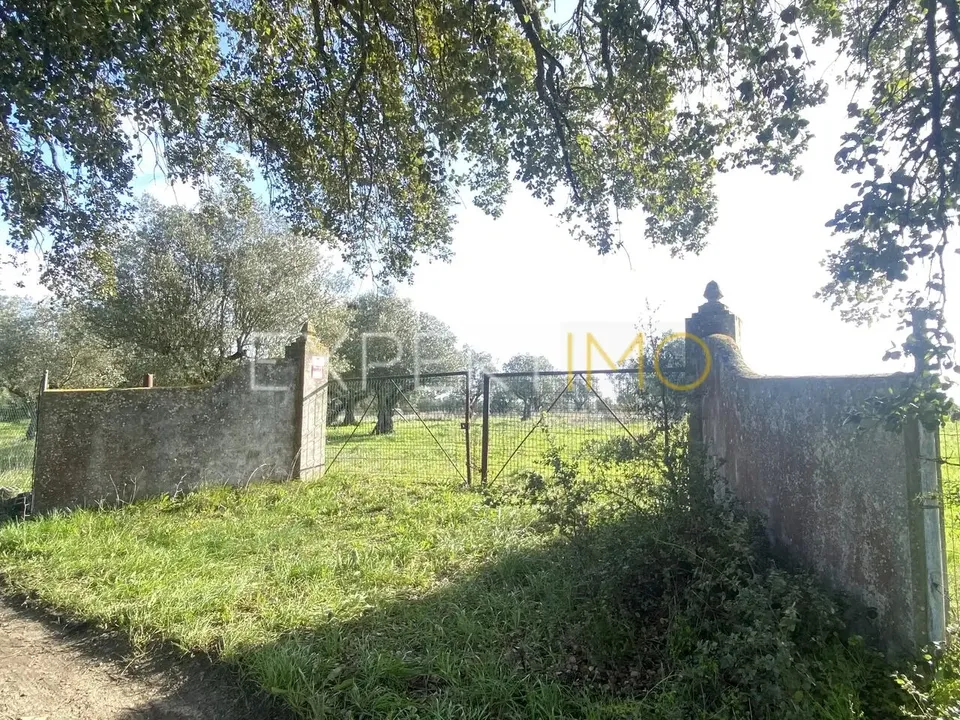 Granja a Vale de Santarem, Santarem - foto 1
