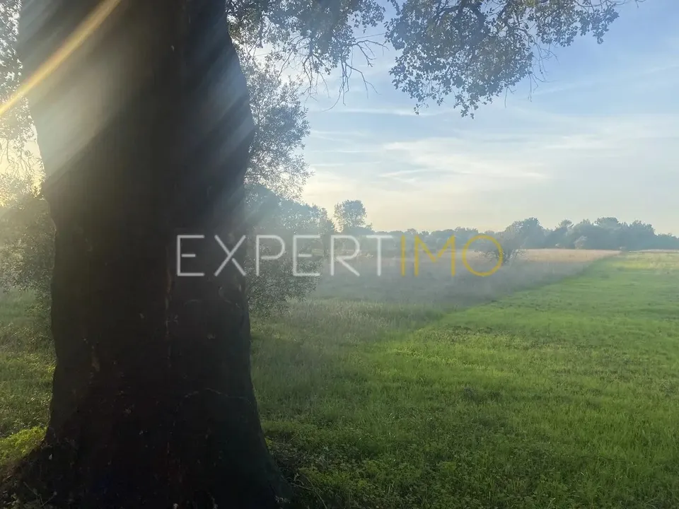 Granja a Vale de Santarem, Santarem - foto 2