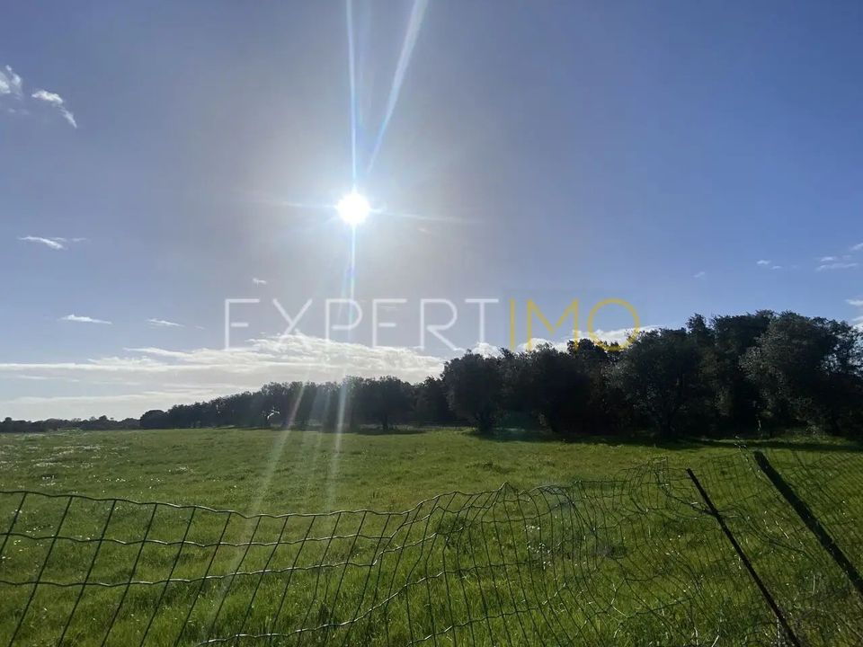 Granja a Vale de Santarem, Santarem - foto 3