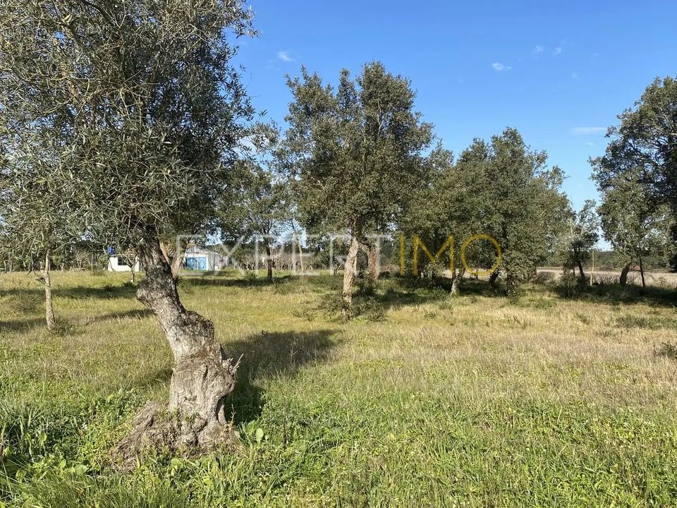 Granja a Vale de Santarem, Santarem - foto 4