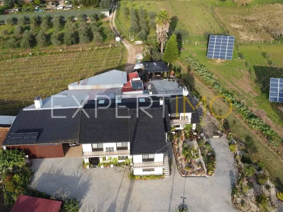 Farm i Mealhada, Aveiro - foto 1
