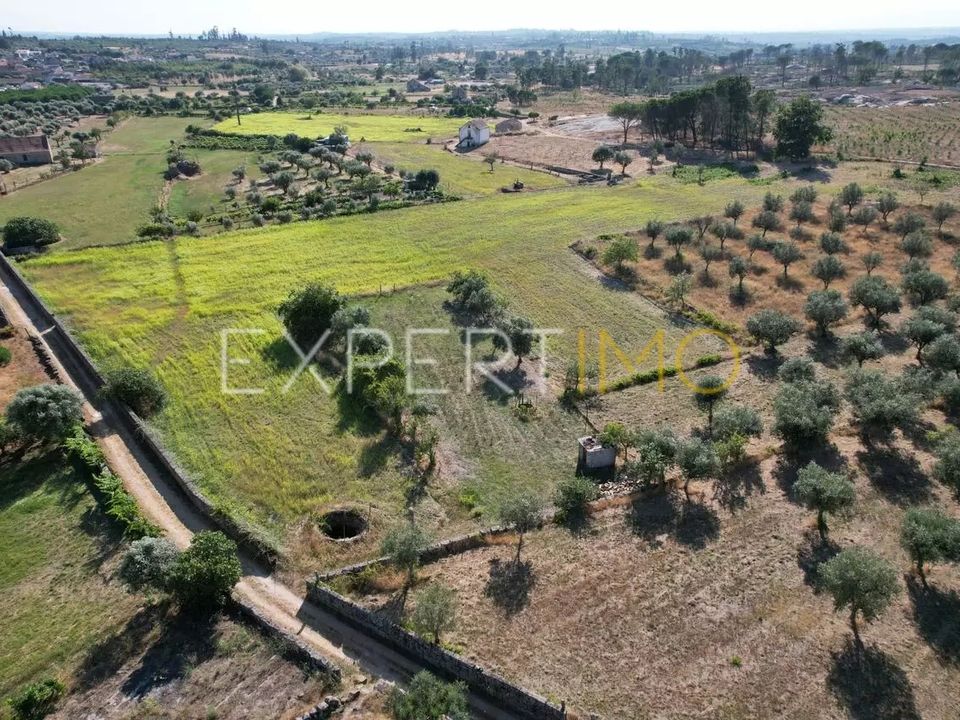 Farm i Tourais e Lajes, Guarda - foto 3