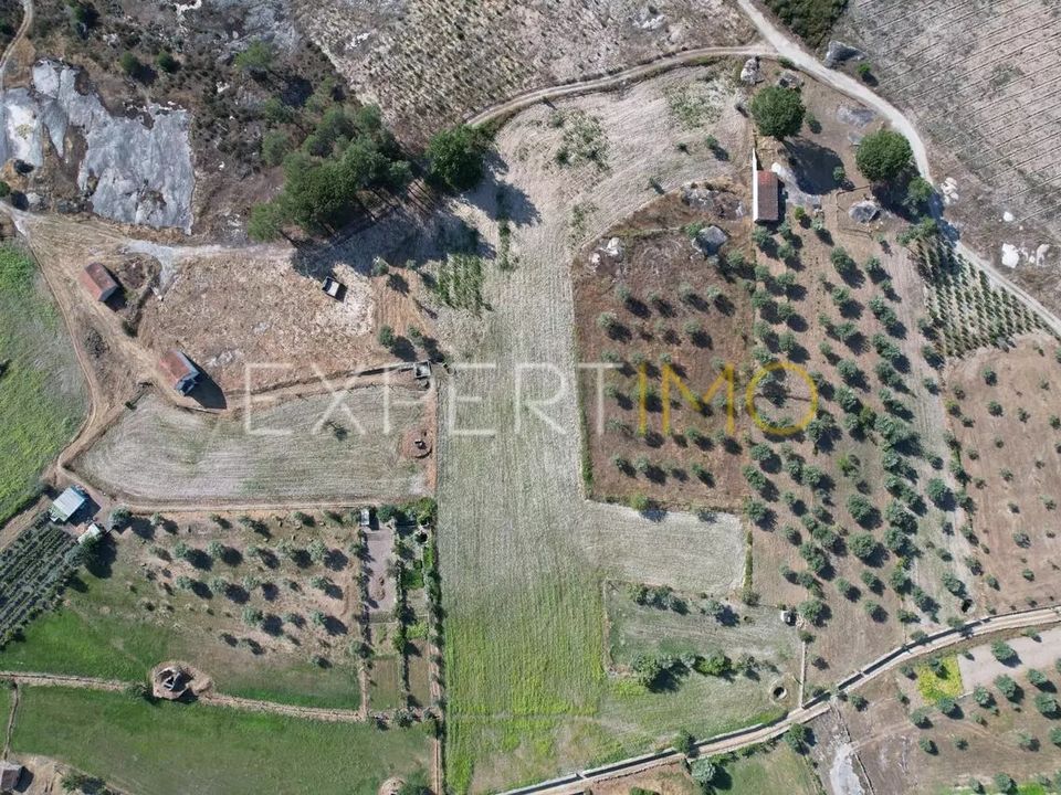 Farm i Tourais e Lajes, Guarda - foto 4