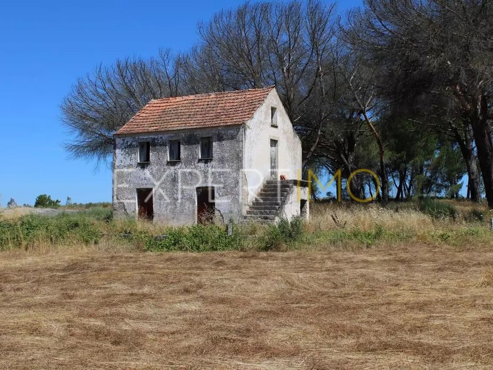 Farm i Tourais e Lajes, Guarda - foto 5