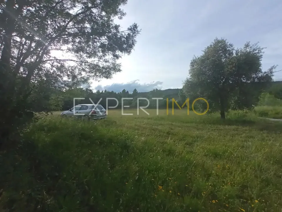 Gospodarstwo: Guarda, Guarda – zdjęcie 2