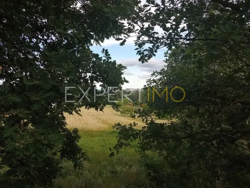 Gospodarstwo: Guarda, Guarda – zdjęcie 3