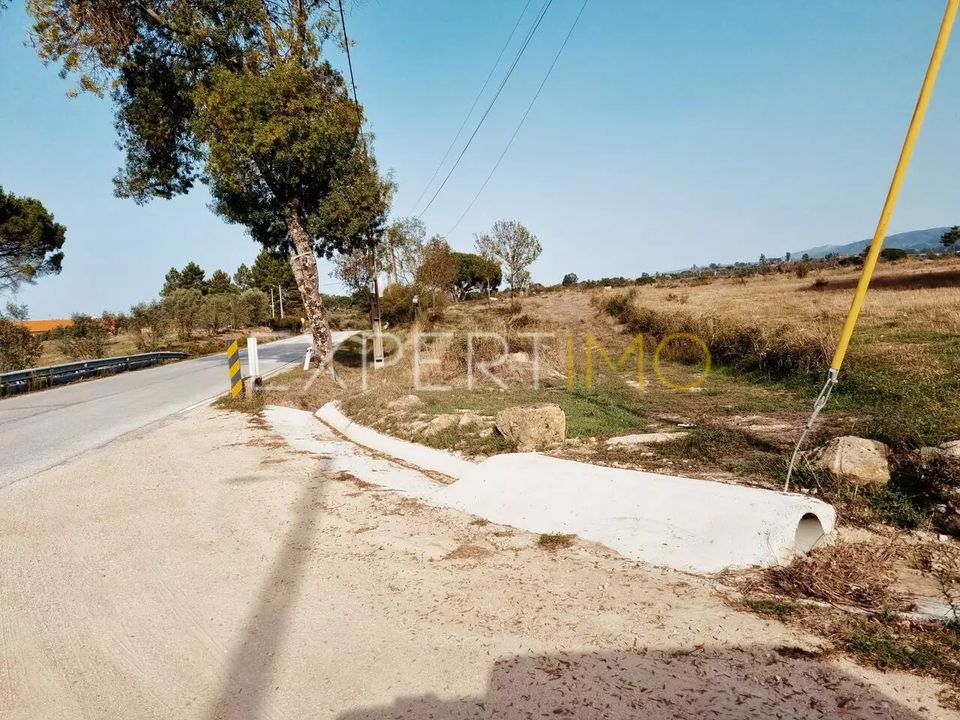 Tomt i Moimenta da Serra e Vinho, Guarda - bilde 5