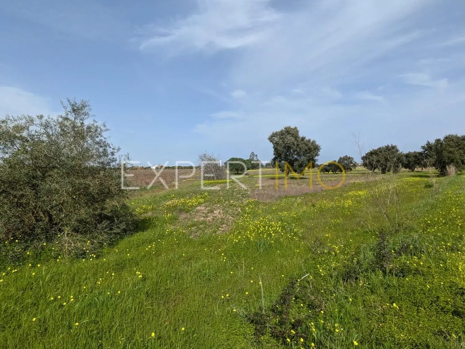 Helårsgrund i Montijo, Setubal - foto 1