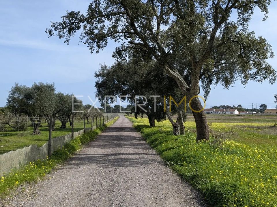 Helårsgrund i Montijo, Setubal - foto 4