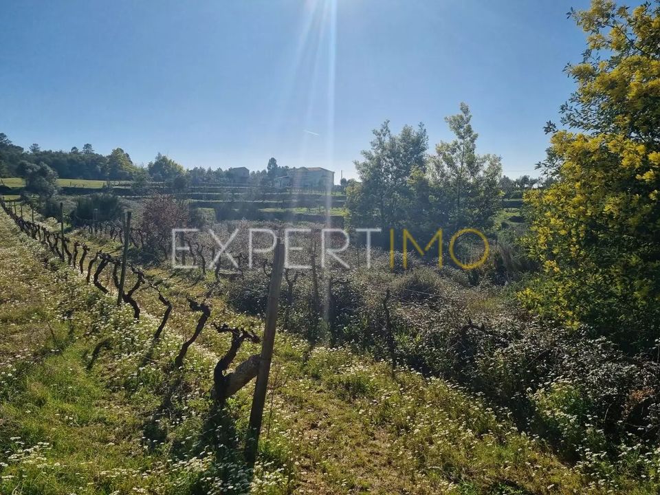 Helårsgrund i Vila Nova de Tazem, Guarda - foto 2