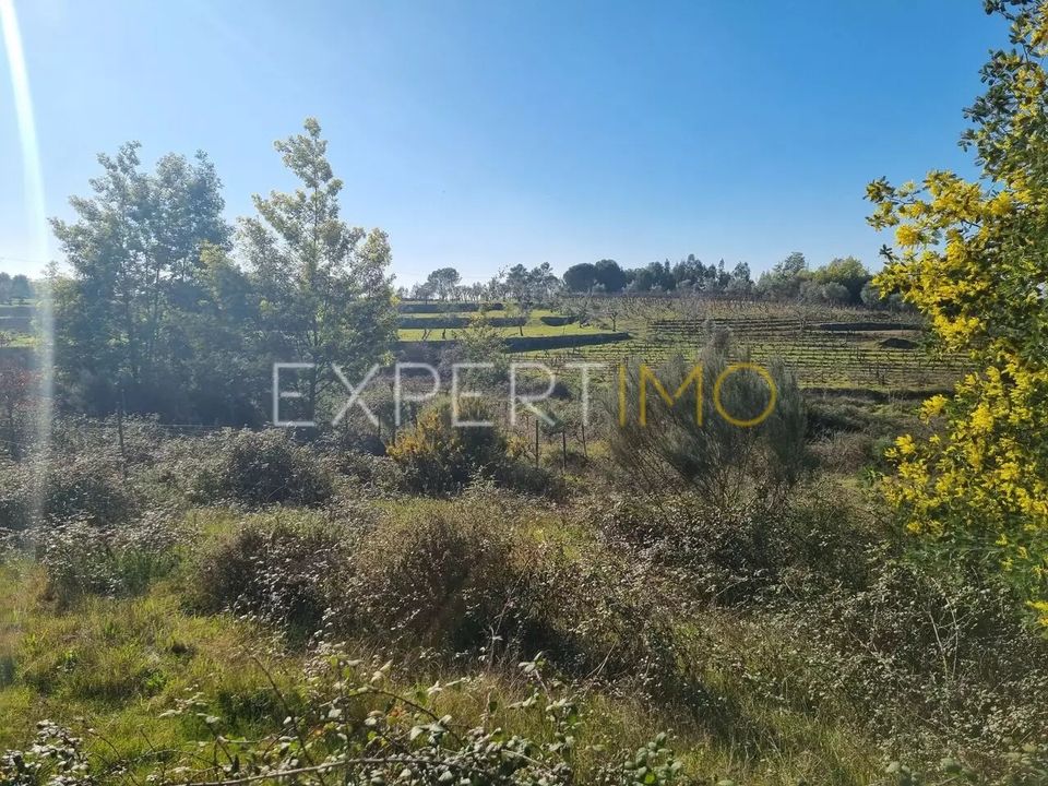 Helårsgrund i Vila Nova de Tazem, Guarda - foto 5