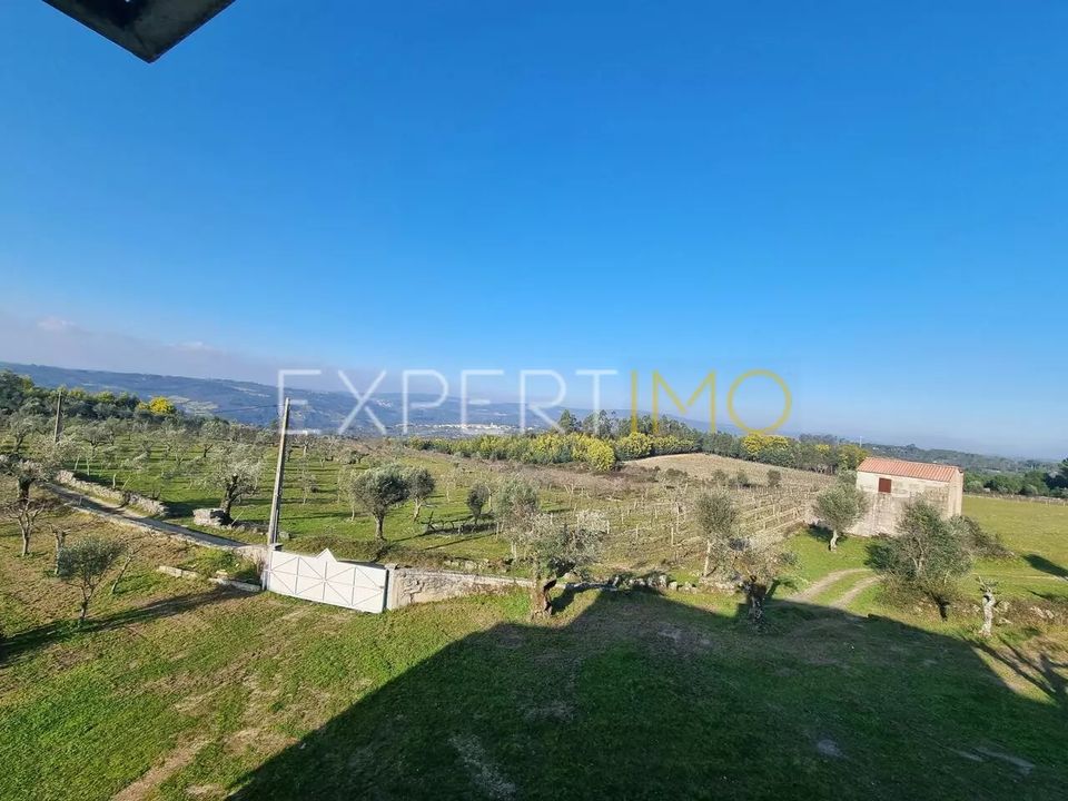 Terra a Vila Nova de Tazem, Guarda - foto 5