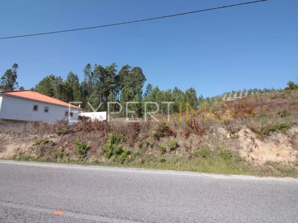 Helårsgrund i Gondemaria e Olival, Santarem - foto 4