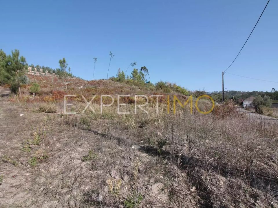 Helårsgrund i Gondemaria e Olival, Santarem - foto 5