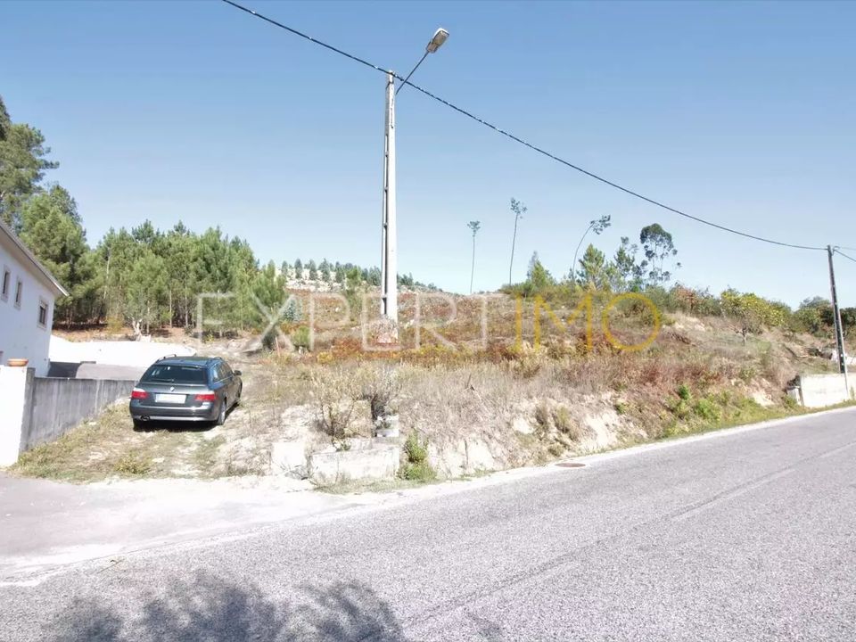 Terra em Gondemaria e Olival, Santarem - foto 2