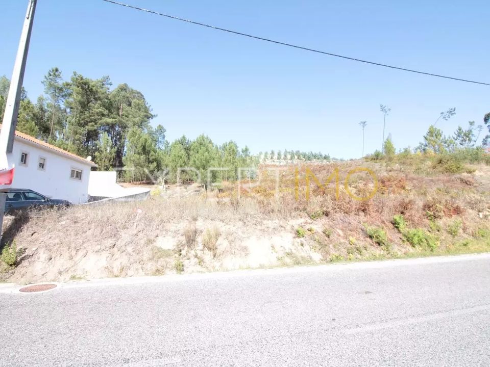 Terra em Gondemaria e Olival, Santarem - foto 3