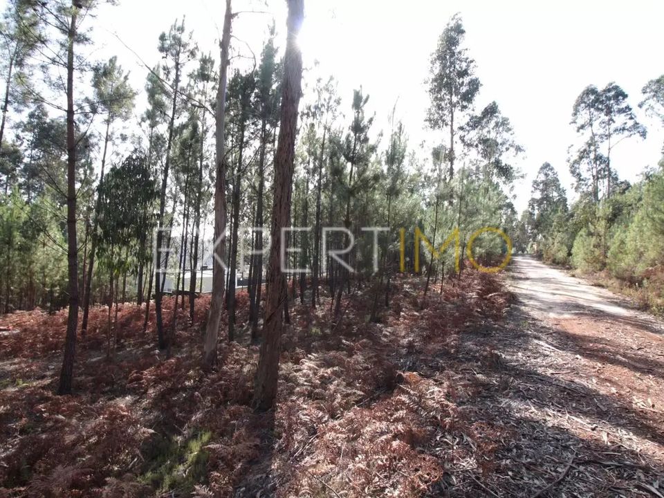 Helårsgrund i Matas e Cercal, Santarem - foto 4