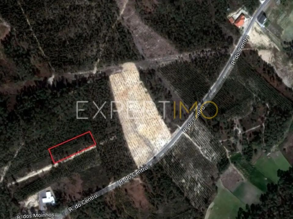 Helårsgrund i Matas e Cercal, Santarem - foto 1