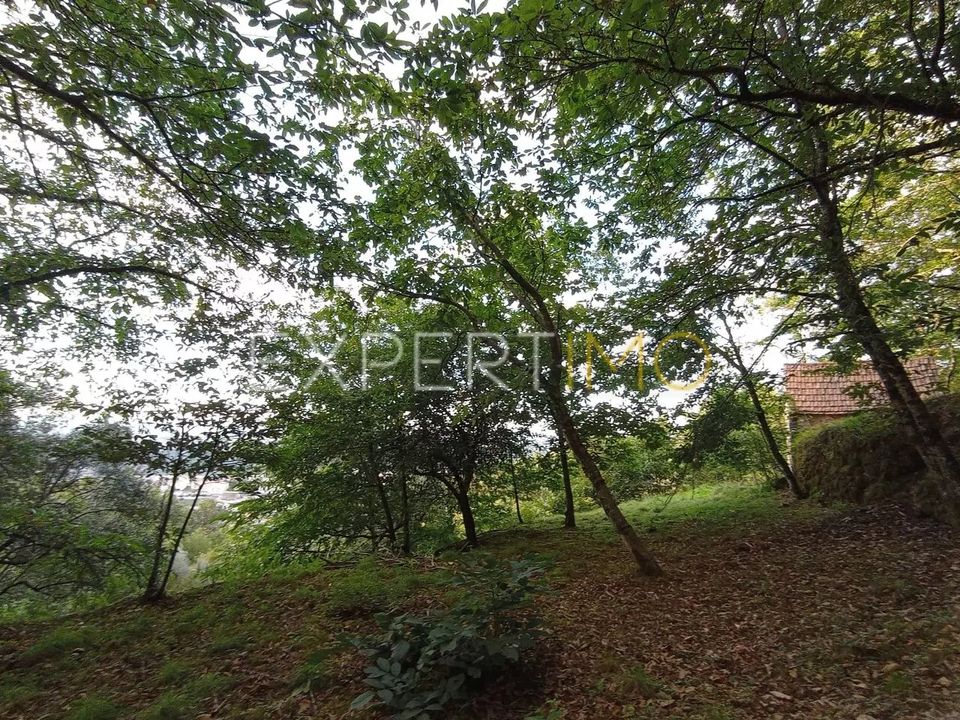Helårsgrund i Sao Romao e Lapa dos Dinheiros, Guarda - foto 2