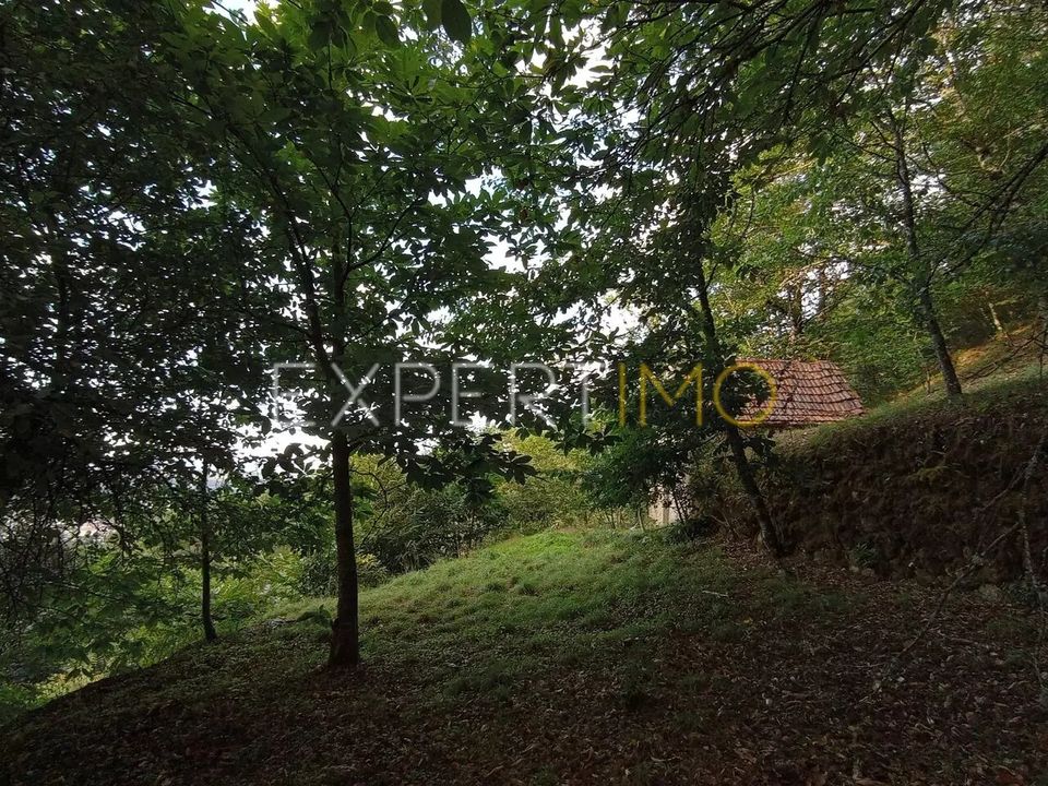 Helårsgrund i Sao Romao e Lapa dos Dinheiros, Guarda - foto 4