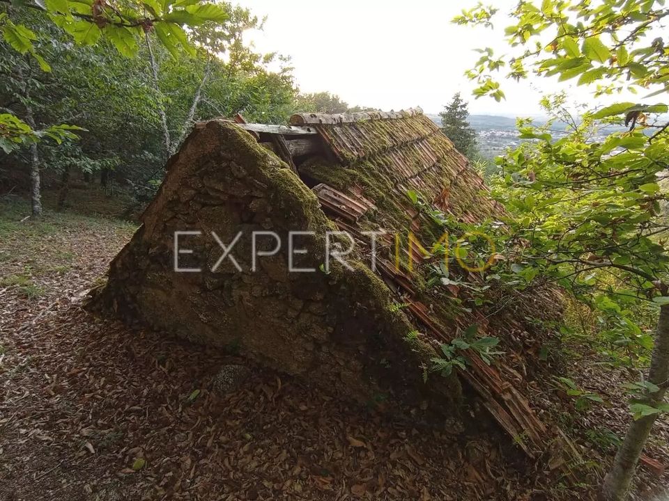 Helårsgrund i Sao Romao e Lapa dos Dinheiros, Guarda - foto 5