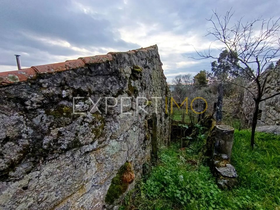 Erhvervsejendom i Linhares, Braganca - foto 5