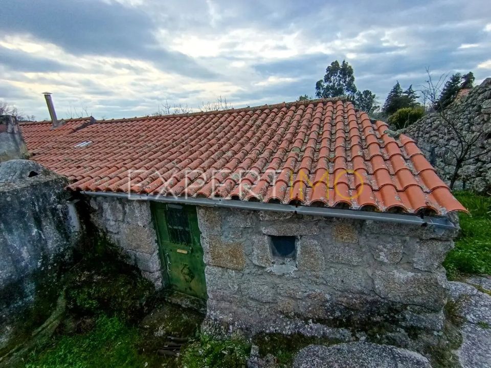 L'establiment comercial a Linhares, Braganca - foto 1
