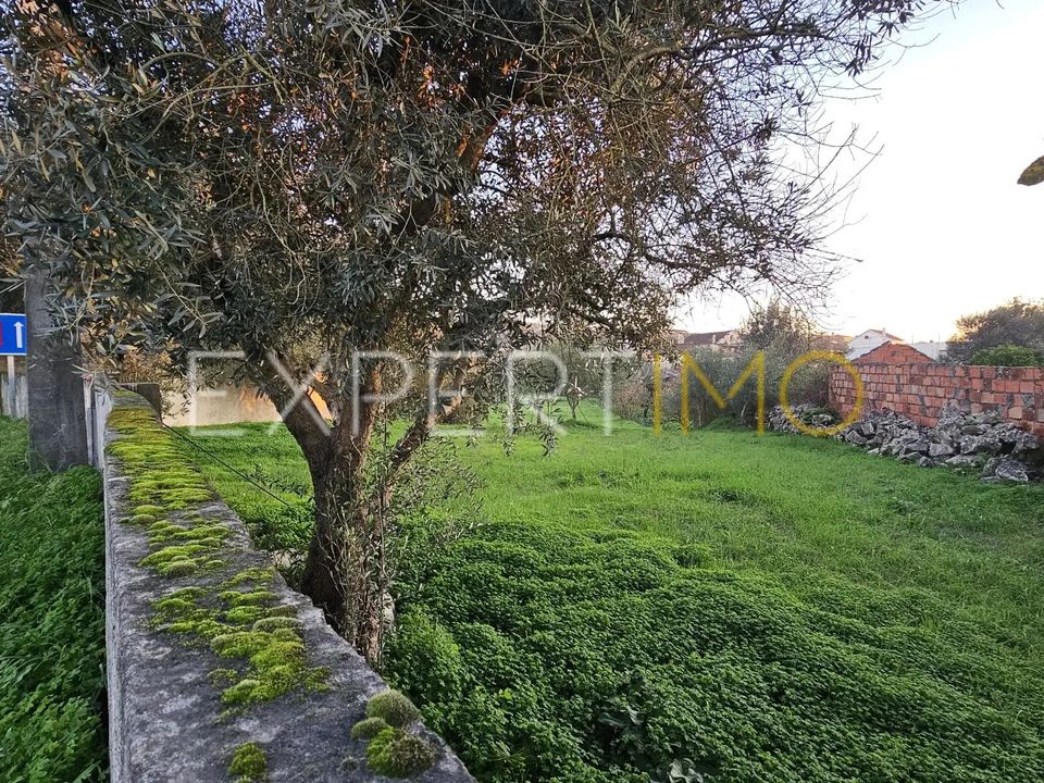 Helårsgrund i Pombal, Leiria - foto 2