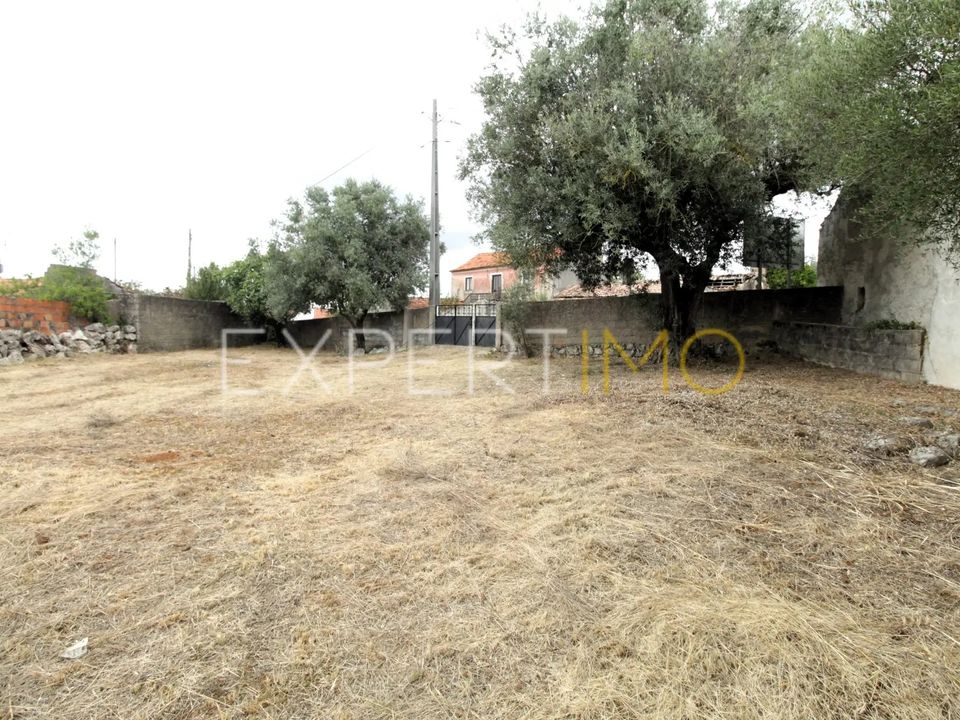 Helårsgrund i Pombal, Leiria - foto 3
