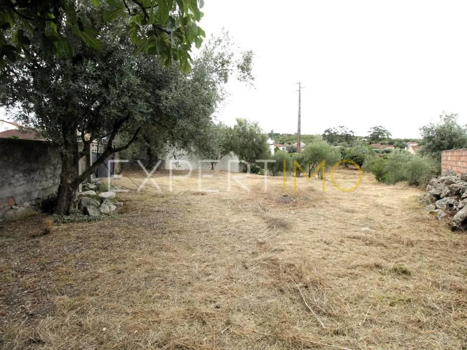 Helårsgrund i Pombal, Leiria - foto 4
