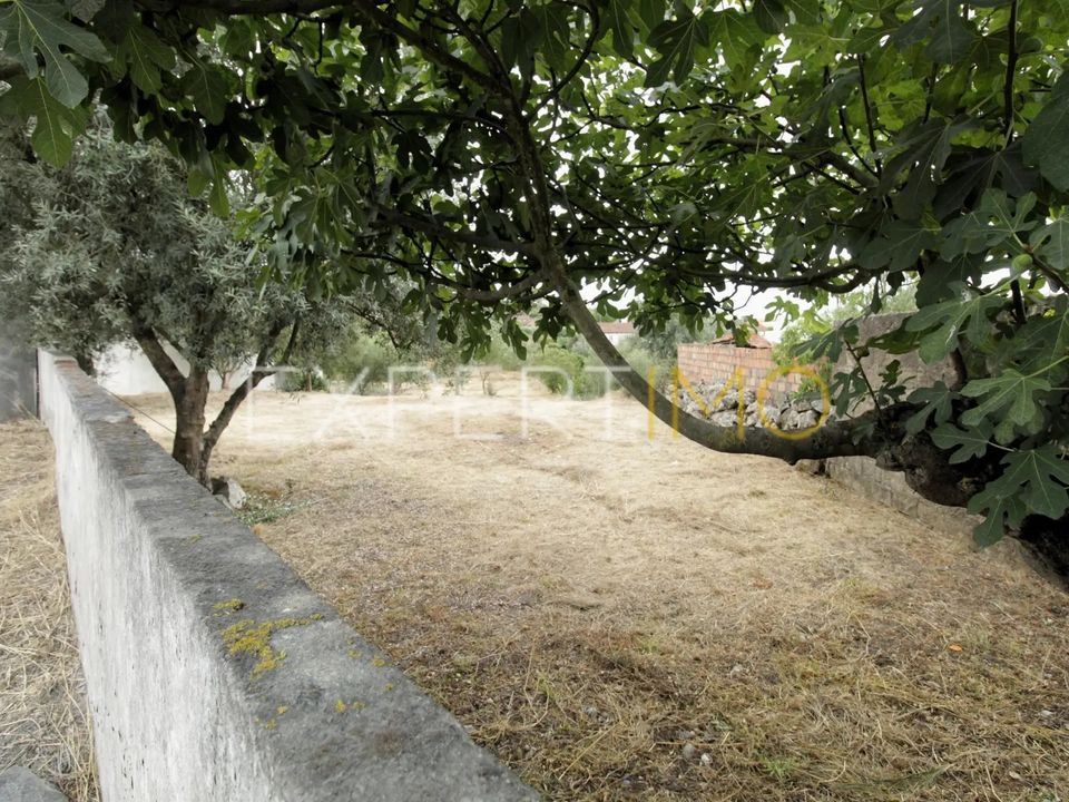 Helårsgrund i Pombal, Leiria - foto 5