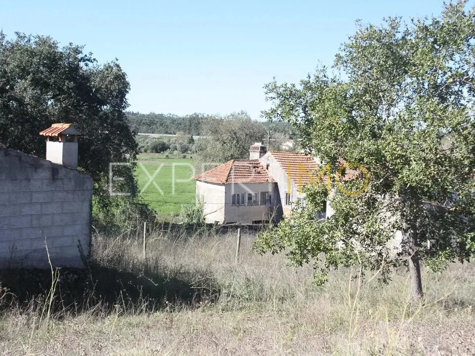 Farm i Pombal, Leiria - foto 1