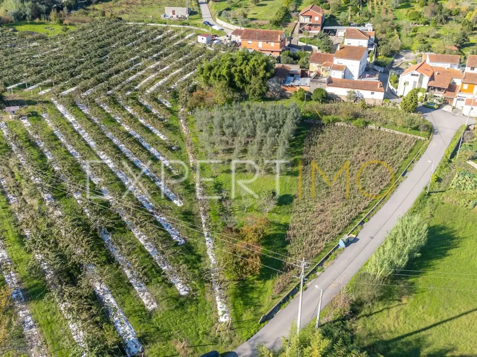Helårsgrund i Coimbra, Coimbra - foto 3