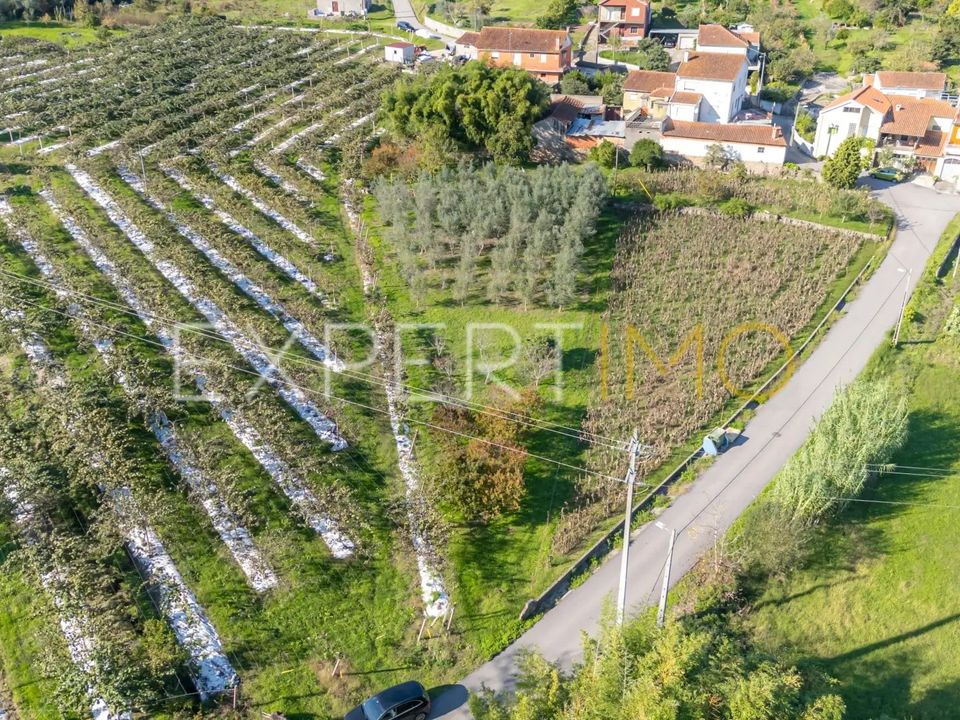 Terra a Coimbra, Coimbra - foto 2