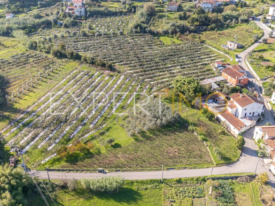 Terra a Coimbra, Coimbra - foto 4