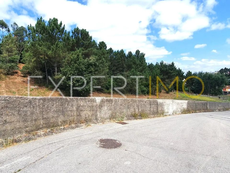 Terra a Coimbra, Coimbra - foto 5