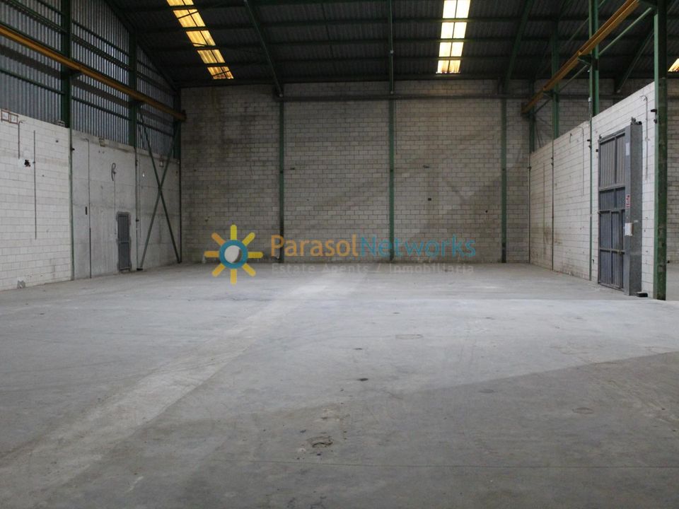 L'establiment comercial a Oliva, Valencia - foto 4